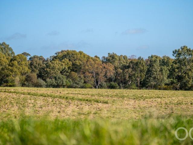 Open the Door to Grand Designs and Country Freedom on 17 Acres