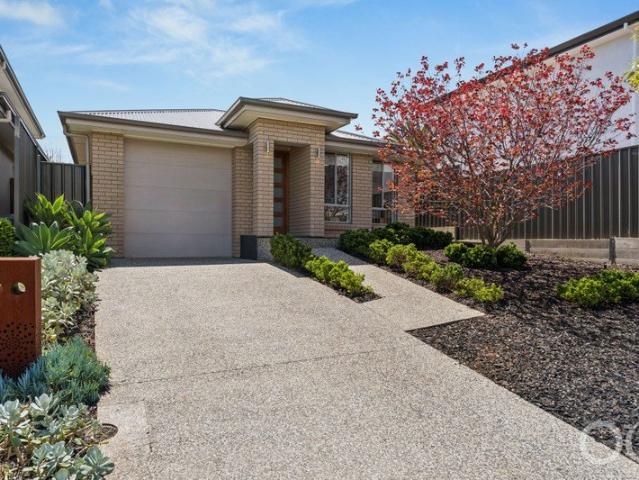 Open the Door to Stunning Open Plan Modern Living