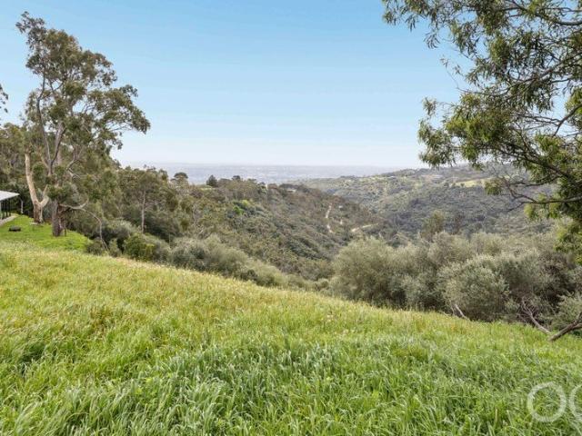 Open the Door to Sprawling Hilltop Land with Spectacular Views