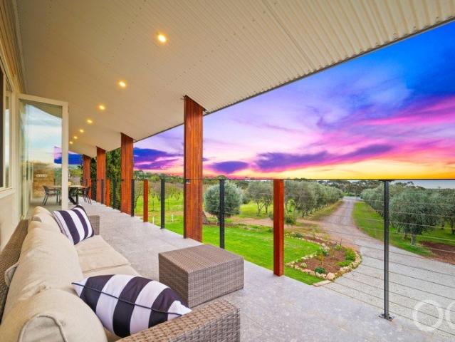 Open the Door to 10 Acres of Olive Grove Grandeur and Sea View Scale