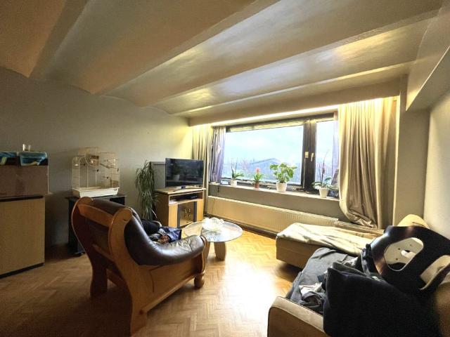Opgefrist appartement met 1 slaapkamer