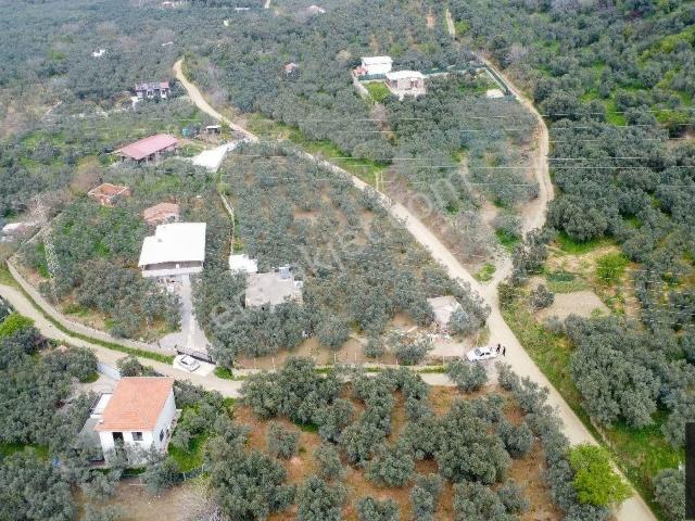 Opima Emlak'tan Atatürk'te Zeytinlik İçerisinde Satılık 2+1 Müstakil Ev