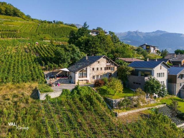 Opportunité unique: Maison avec deux appartements indépendants 5.5 et 2.5 pièces