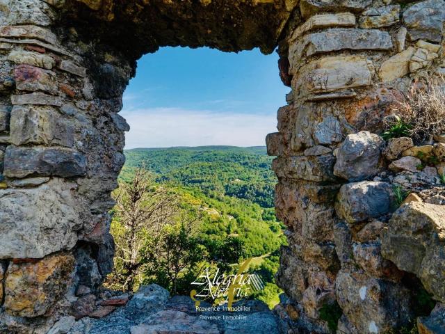 Opportunité d’investissement confidentielle: Domaine vitico. m² Draguignan
