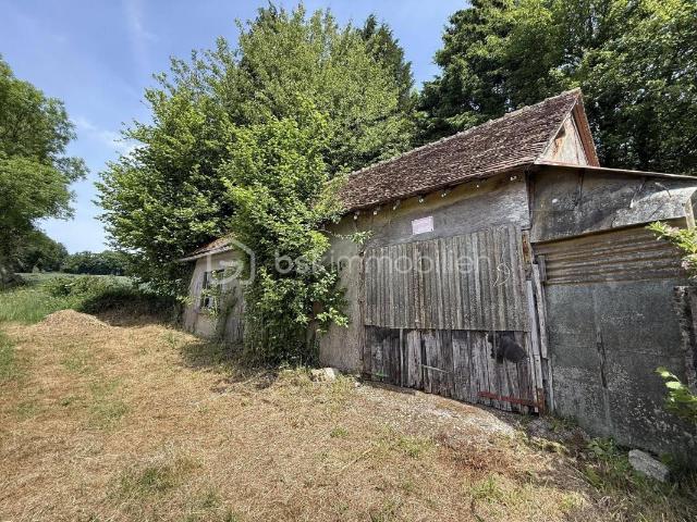 Opportunité rare à 10 minutes de La Ferté Macé – Bâtiment à aménager + terrain arboré