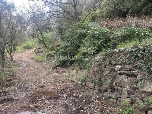 Opportunité rare: Terrain de loisirs à Solliès Ville