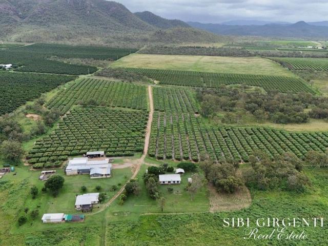 OPPORTUNITY TO EMBRACE A RURAL LIFESTYLE WHILE GENERATING INCOME