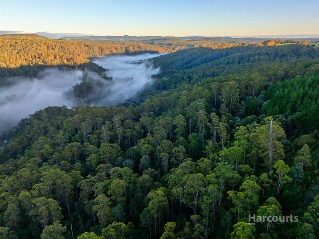 Opportunity to Own Your Own Wilderness