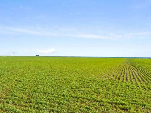 Opportunity in Tightly Held Cropping District