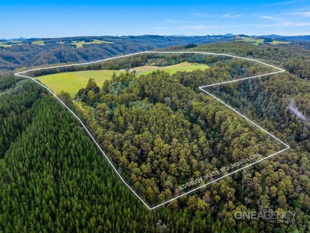 Opportunity Knocks on 135 Acres