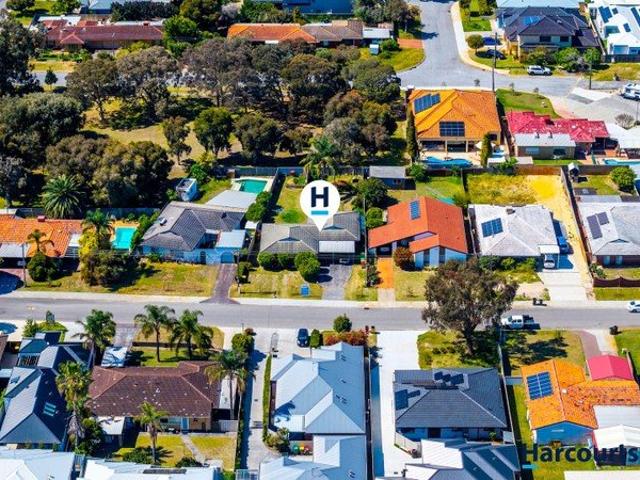Options Options Options in the HEART of DIANELLA!