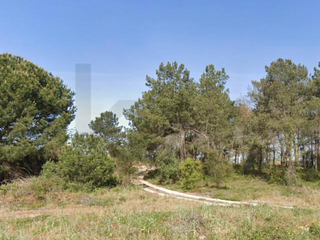 Óptimo Terreno de 285 m² em Foros da Catrapona, Aldeia de Paio Pires, Seixal