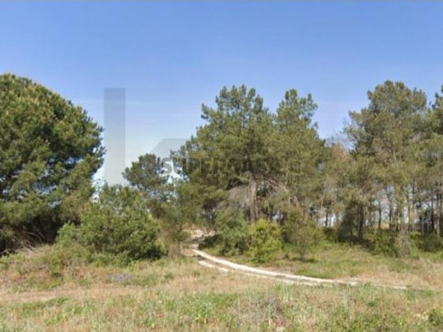 Óptimo Terreno de 285 m² em Foros da Catrapona, Aldeia de Paio Pires, Seixal