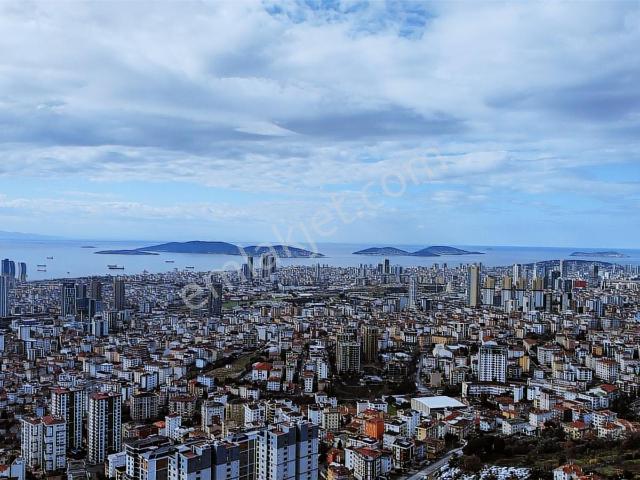 Ormanla Komşu, Kesintisiz Adalar Manzaralı 1200m2 İkiz Villa'