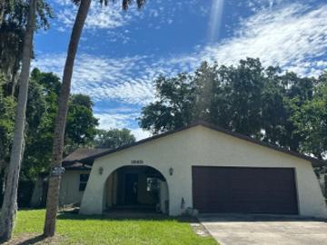 Orange Tree Dr