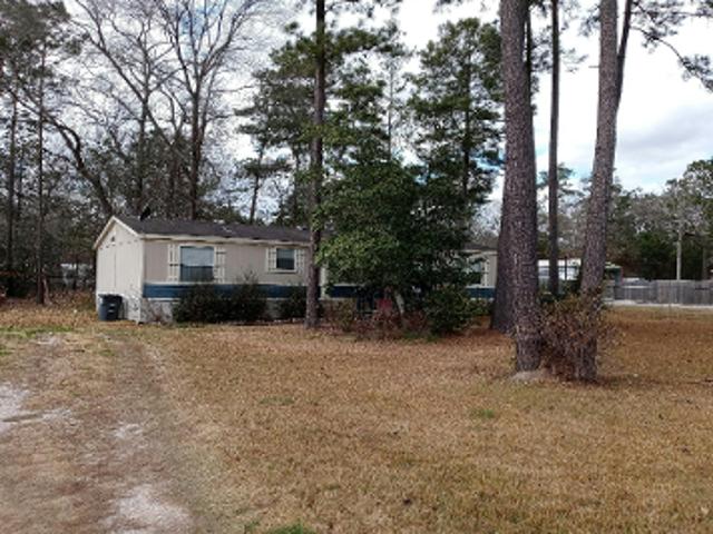 Orchid Bee Ln