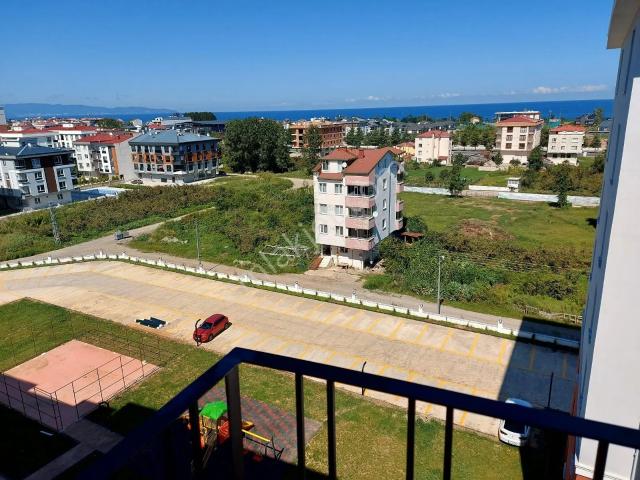 Ordu Deniz Manzaralı 1+1 Kiralık Daire Üniversite /hastane Komşu