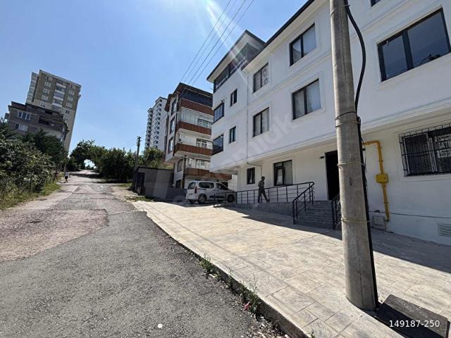 Ordu Fatsa Evkaf'ta fırsat daire