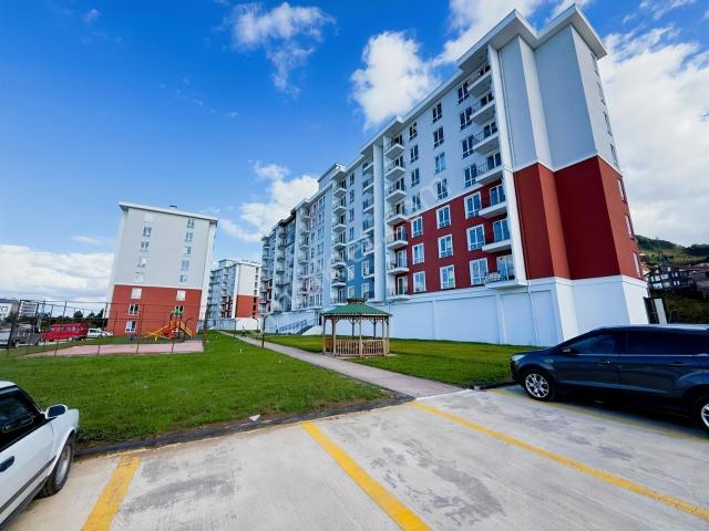 Ordu Hekimoğlu'dan Üniversite Yanı Sıfır Eşyalı Kiralık 1+1