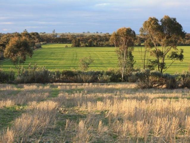 Organic Mixed Farm