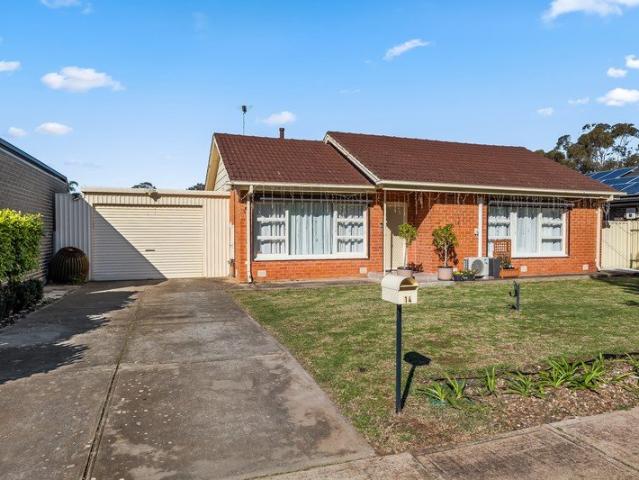 Original 1966 Solid Brick, Three Bedrooms Plus Rumpus Room, Family Home Sited on 19.5m frontage, 595 sqm