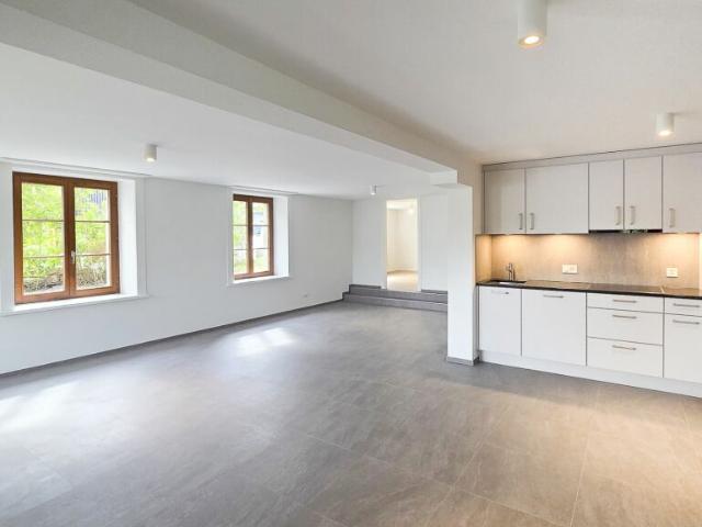 Originelle Wohnung mit Sitzplatz Erstvermietung nach Totalsanierung