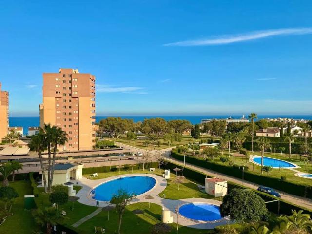 Orihuela