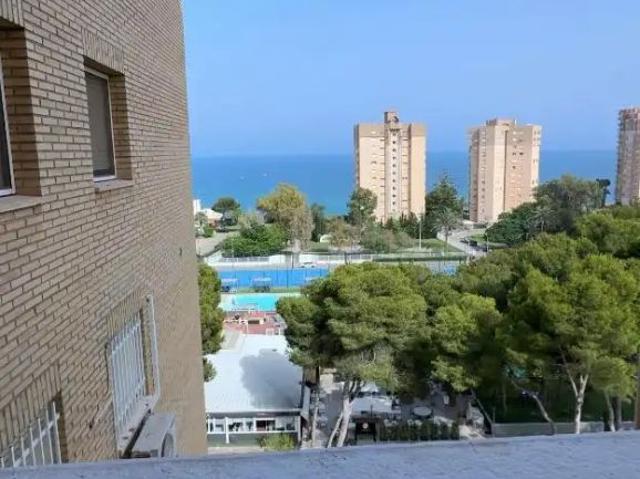 Orihuela