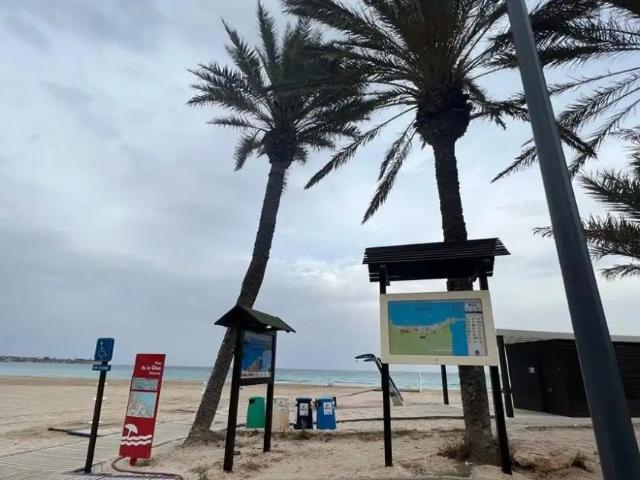 Orihuela