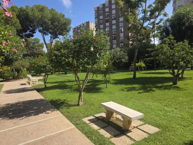 Orihuela