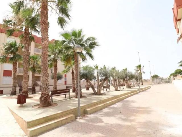 Orihuela