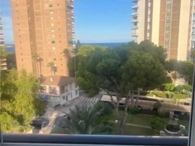 Orihuela