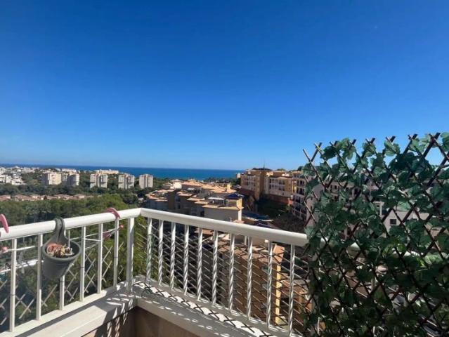 Orihuela