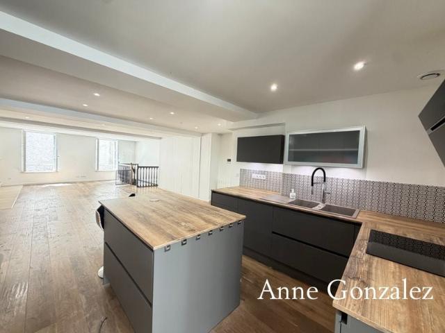 Orleans Coeur de ville entre bords de Loire et Halles Châtel. 170m² Orléans