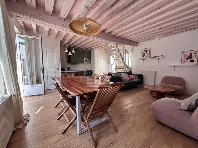 ORLEANS HYPERCENTRE Appartement 3 pièces 70 m² avec terrasse meublé CHAUFF ET EAUX INCLUS