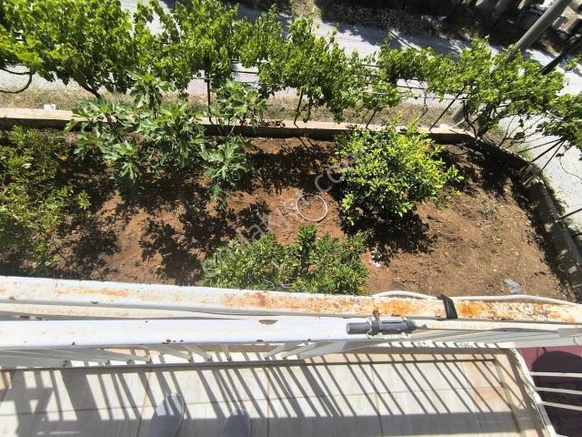 Ortaca Çaylı'da Kiralık 2+1 Daire