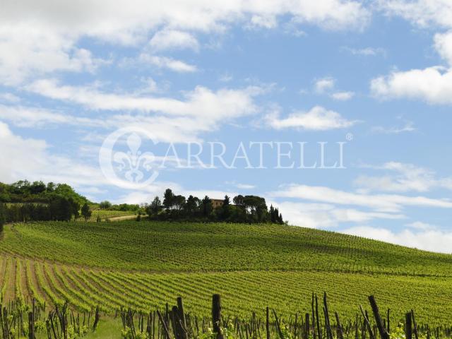 Orvieto, prestigiosa tenuta vitivinicola con circa 31 ettari. 558m² Orvieto