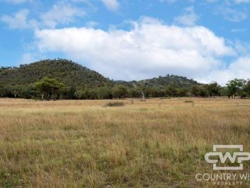 Own a slice of tranquility in Emmaville