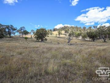 Own a slice of tranquillity in Emmaville
