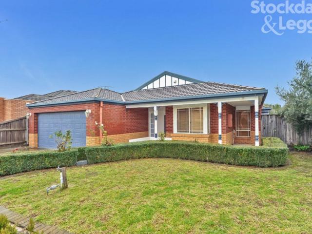 other at 31 Scarlet Drive, BUNDOORA VIC 3083, Australia