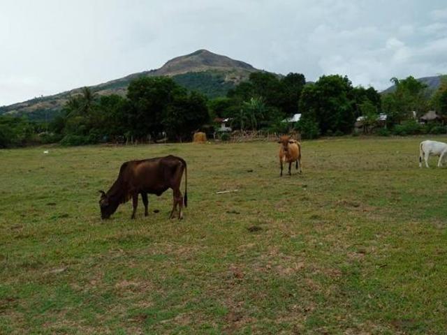Other property for sale in Cabangan