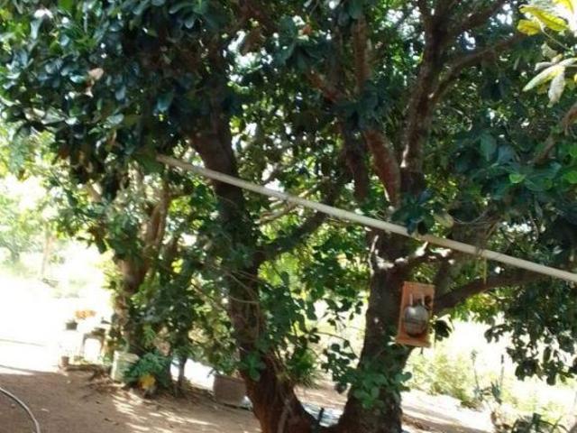 Ótima chácara para quem busca tranquilidade em Padre Bernardo