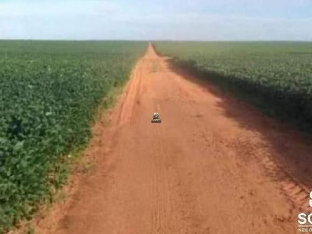 Ótima Fazenda à venda na região de Confresa MT. Cidades próximas Santa Terezinha, Vila Rica, Porto A