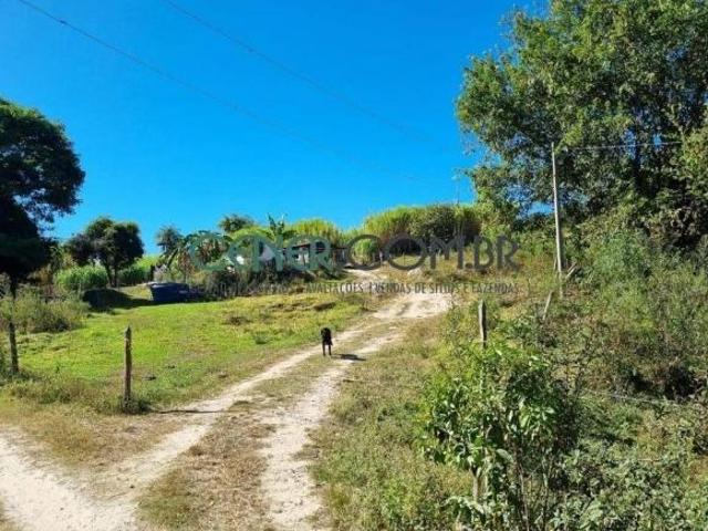 Ótima Fazenda de 157,04 ha em esmeradas a 40 Km de BH