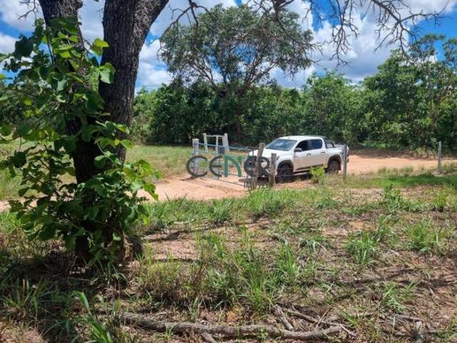 ÓTIMA FAZENDA DE 252 HA BEM LOCALIZADA EM JOÃO PINHEIRO MG
