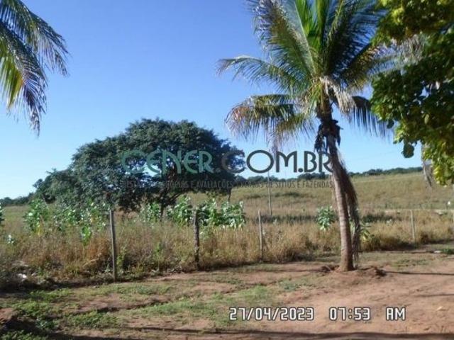 Ótima Fazenda de 3.340 ha Pronta para pecuária e boa para agricultura