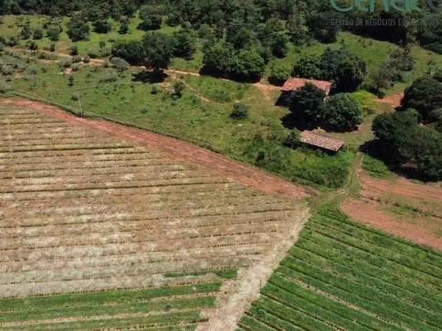 Ótima Fazenda de 725 ha com outorga para 400 ha em Diamantina MG