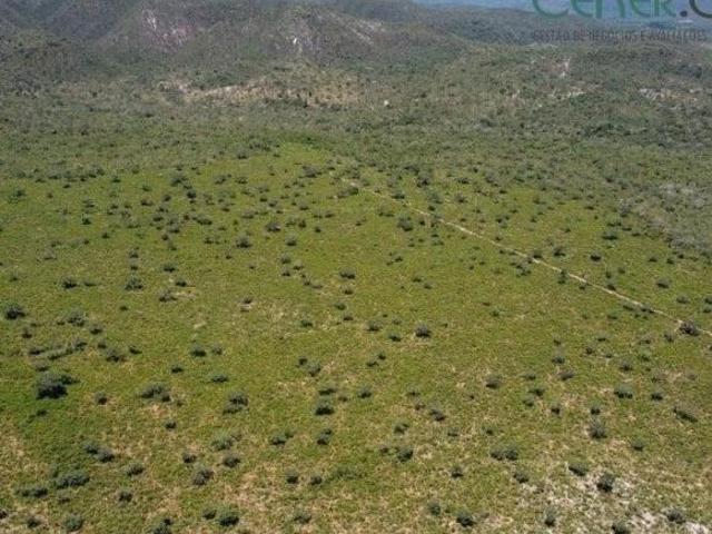 Ótima Fazenda de 725 ha com outorga para 400 ha em Diamantina MG