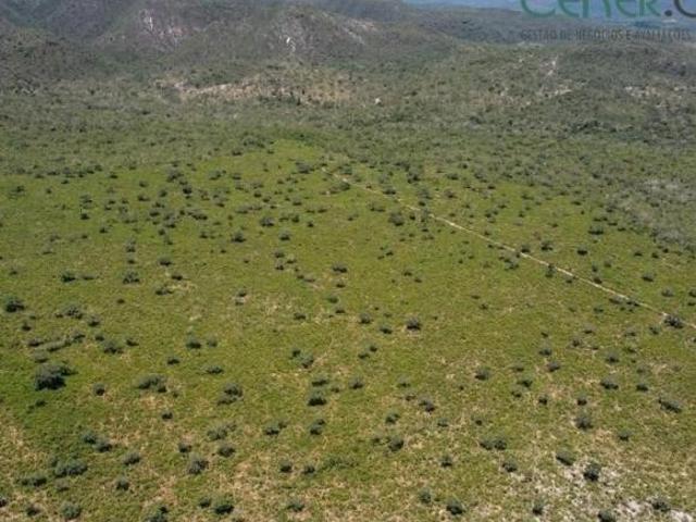 Ótima Fazenda de 725 ha com outorga para 400 ha em Diamantina MG