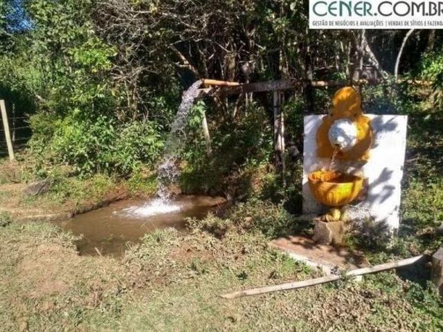 Ótima Fazendinha de 21 ha com boa estrutura e muita Água